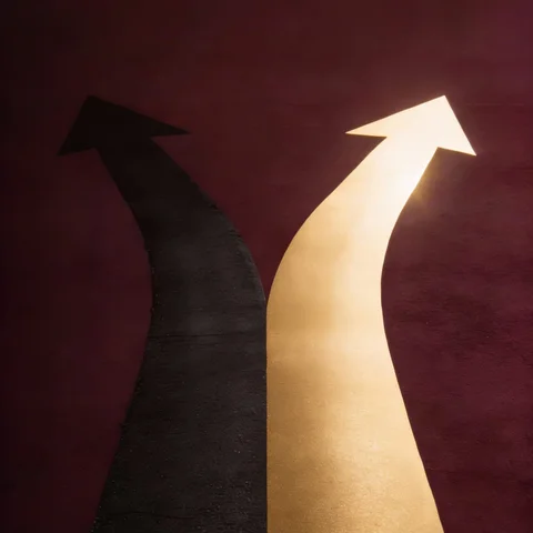 Two paths — your choice